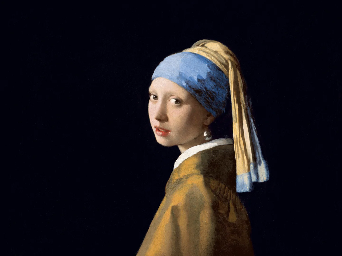 Original Girl with a Pearl Earring reference image